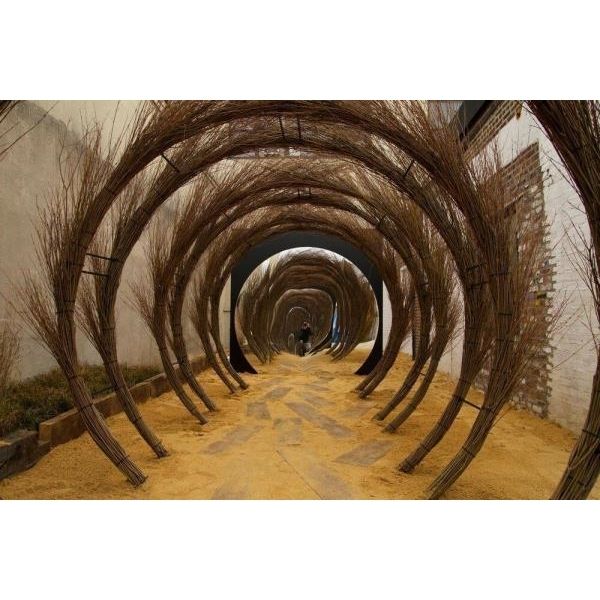 Buy Living Willow Tunnel Kit & Get Delivered Fast Earlscolnefarm