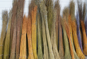 Willow Cuttings 100 ~9'8" ft / 3m -hedging,screening,living structures