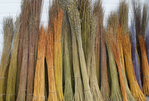 50 x 6.5ft (2m) Fast Growing Hybrid Willow Whips (Perfect for Living Structures)