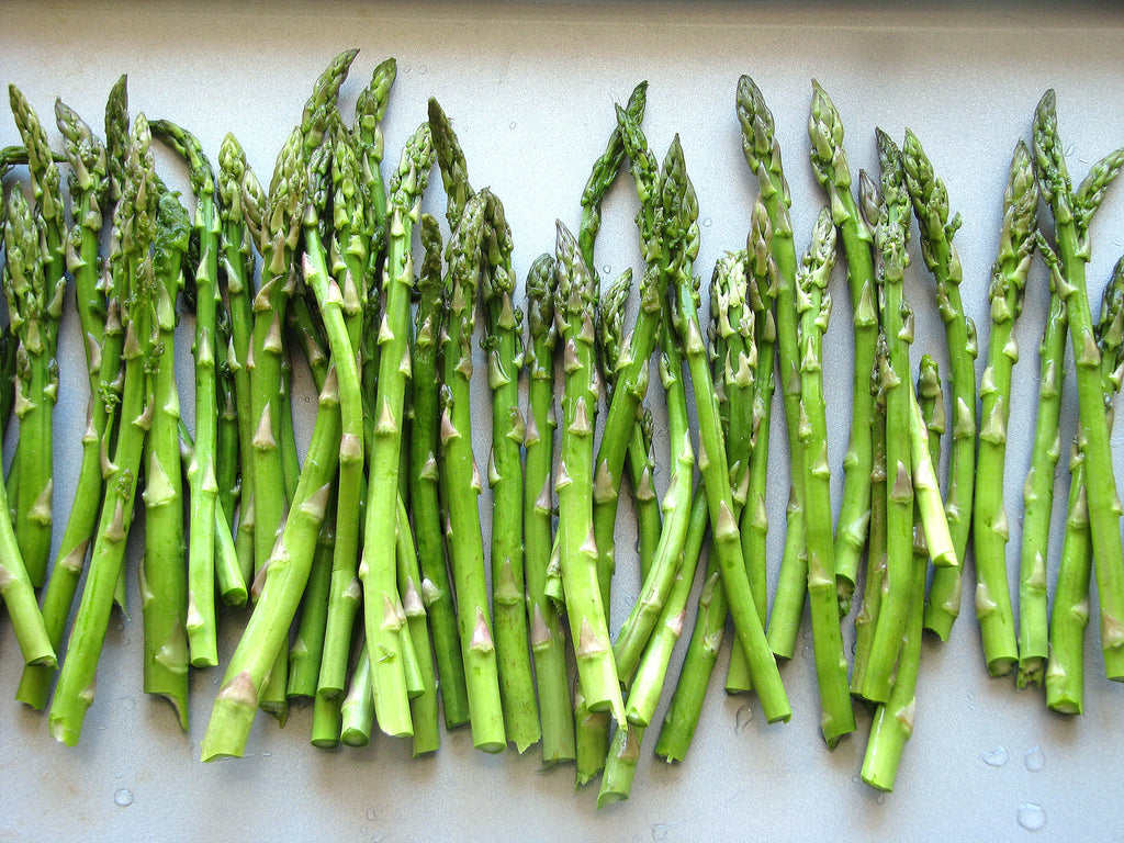 6 ASPARAGUS PERENNIAL COMMERCIAL QUALITY PLANTS IN POTS