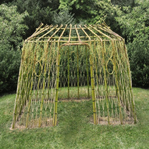 50 x 1.5m Fresh Hybrid Willow Cuttings