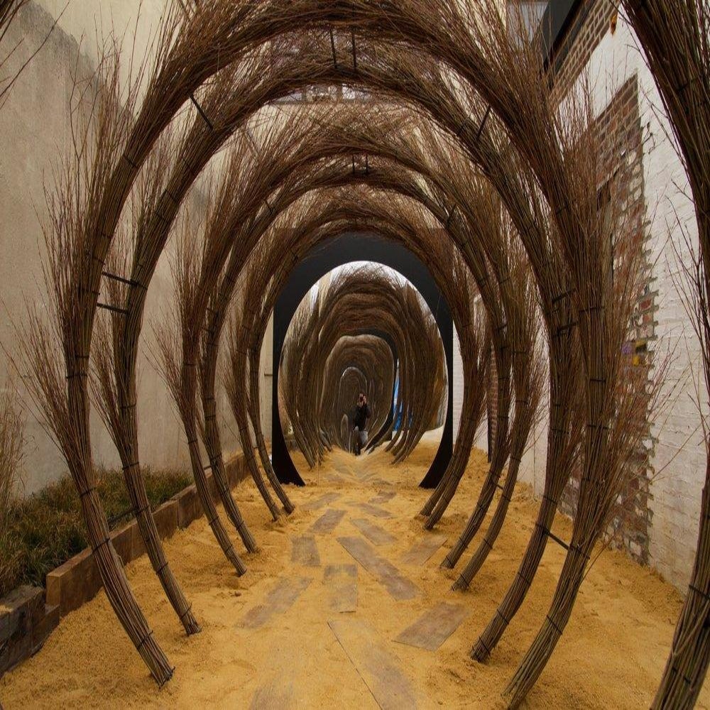 1 x 6.5ft (2m) Fast Growing Hybrid Willow Whips (Perfect for Living Structures)